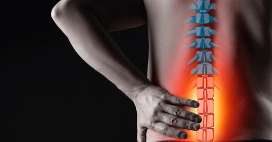 Human spine and sciatic nerve illustration showing pain radiating from lower back to leg.